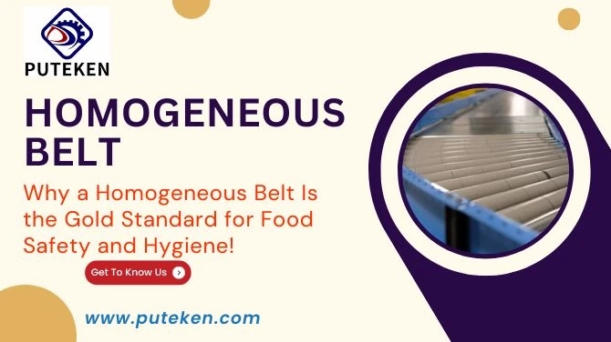 Why a Homogeneous Belt Is the Gold Standard for Food Safety and Hygiene!