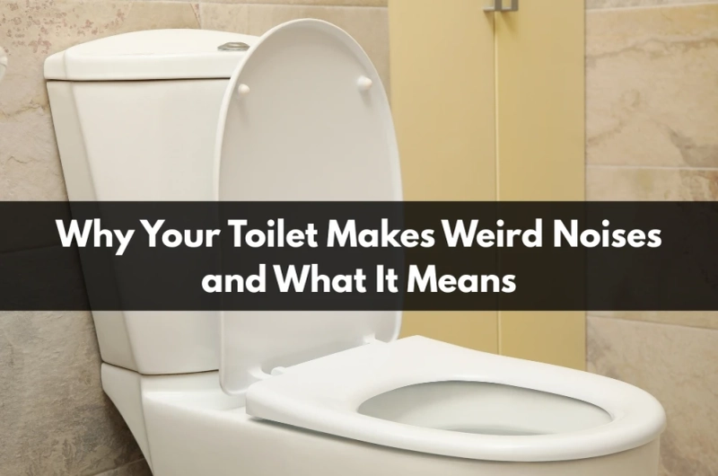 Why Your Toilet Makes Weird Noises and What It Means