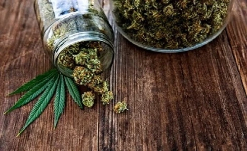 A Guide to Ordering Weed Online in Waterdown