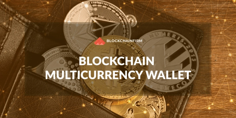 A mini-guide about Multi Cryptocurrency Wallet Development