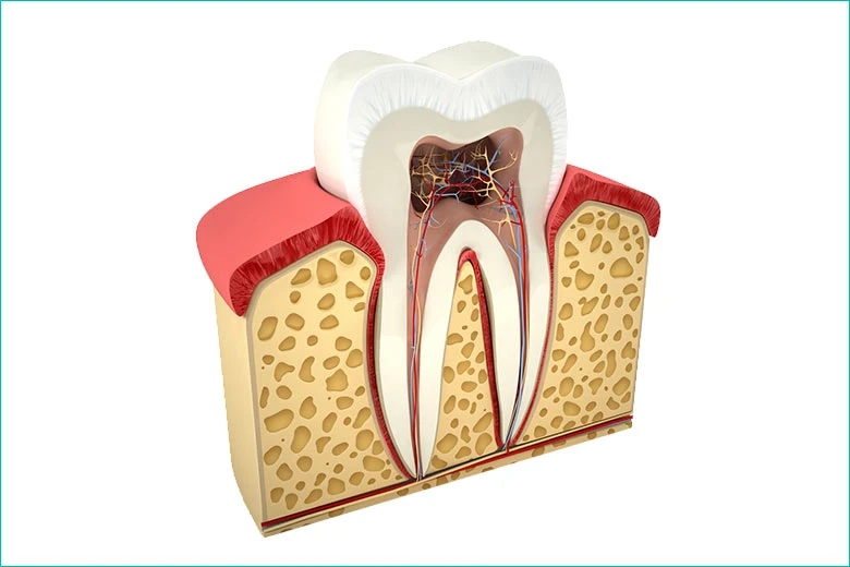 Gentle and effective root canal treatment restore your oral health with confidence