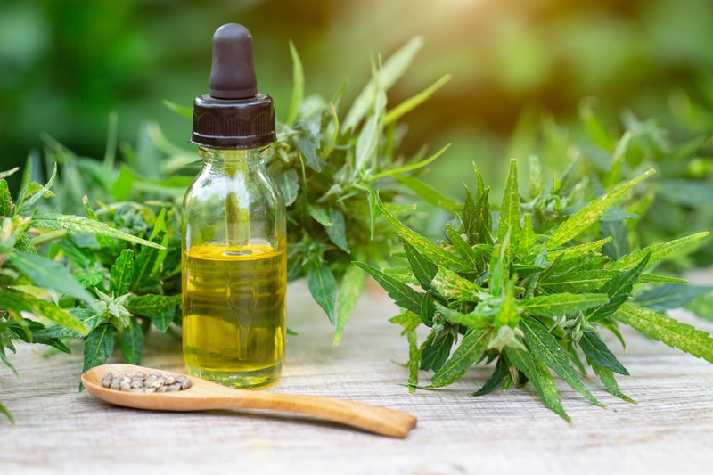 Custom Hemp Boxes for Sustainable Packaging Solutions