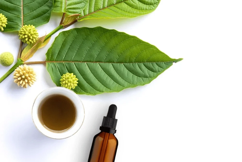 How to Purchase Premium Quality Kratom Online