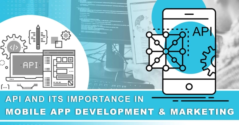 API and its importance in mobile app development and marketing | TopDevelopers.co