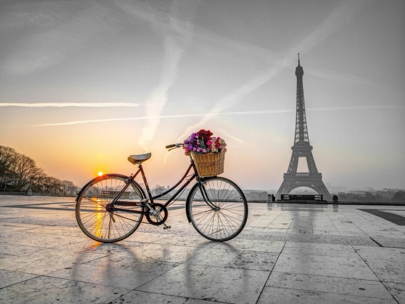 Bicycle Market Overview 2023 To 2028, Future Trends And Forecast