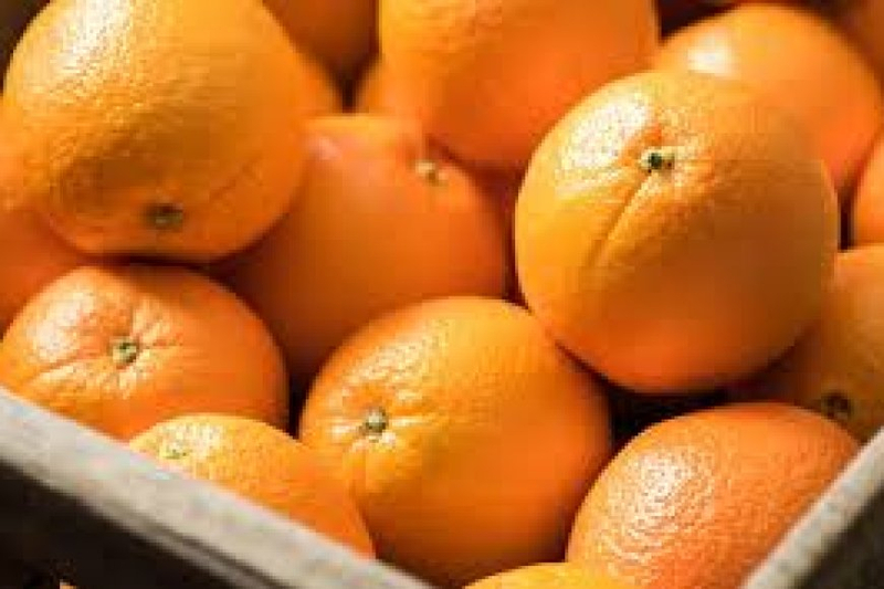 Benfits Of Oranges For Weight Loss
