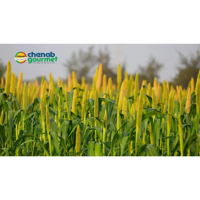 The Role of Millets in Food Security and Fighting Hunger