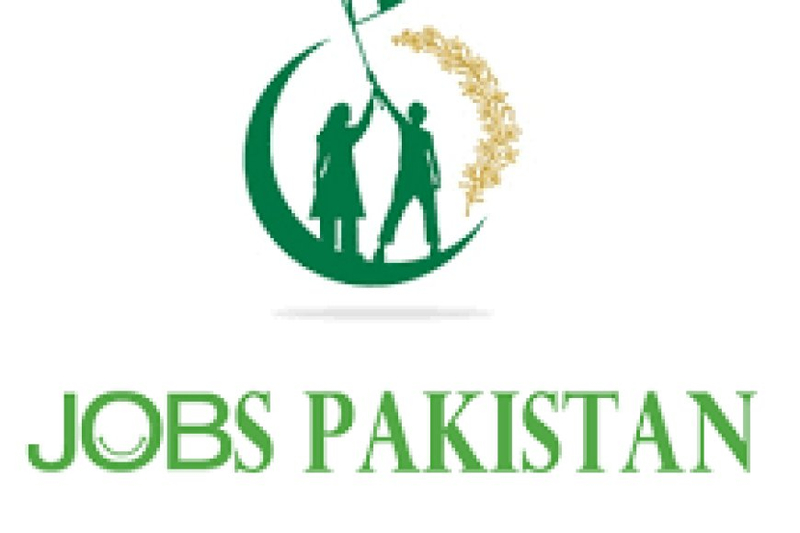 Jobs in Pakistan: Navigating Opportunities in a Diverse Landscape