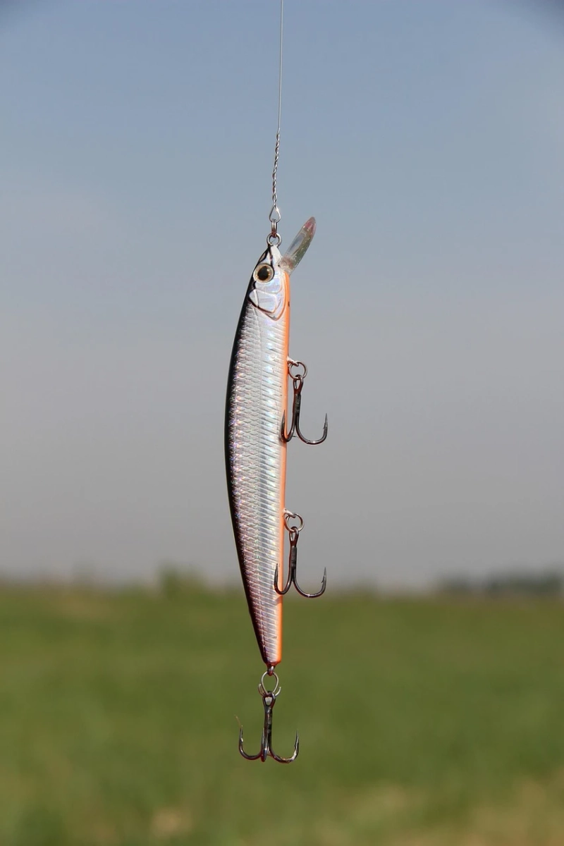 Fishing Lures for Sale: Find the Best Deals on Top Quality Lures and Reels.