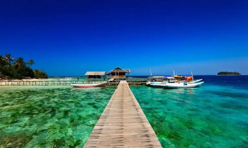 Encounter with the Guardians of the Sea at Karimunjawa Islands