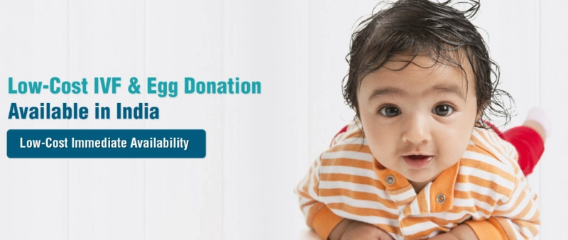A Guide to Finding the Right Egg Donation Company in the USA