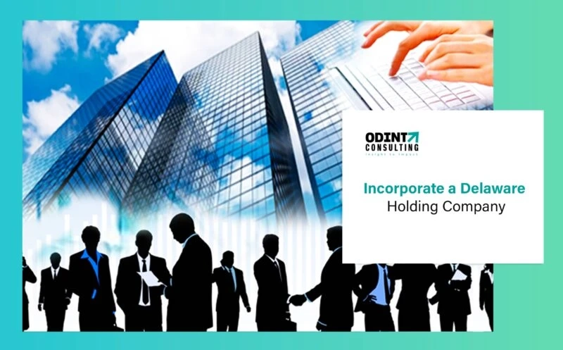What Is Needed To Form a Delaware Holding Company?