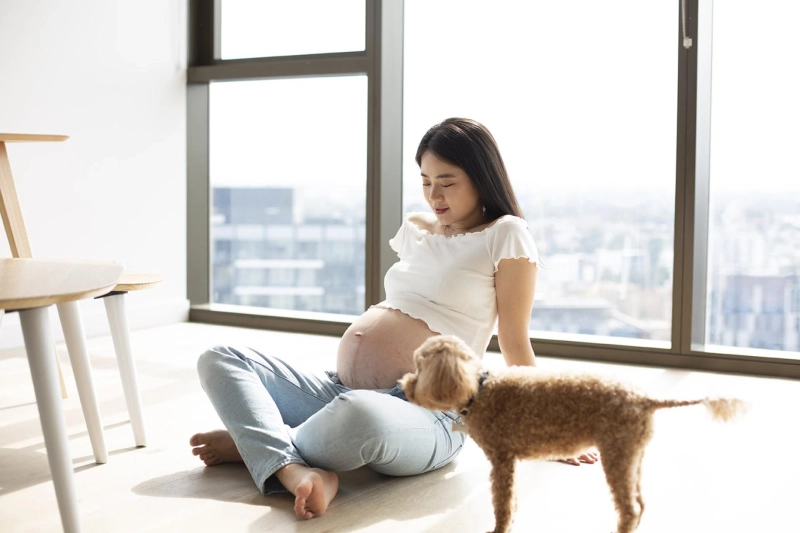 孕妇照悉尼, 墨尔本孕妇照, 悉尼孕妇照, 澳洲孕妇照 - Inphoto