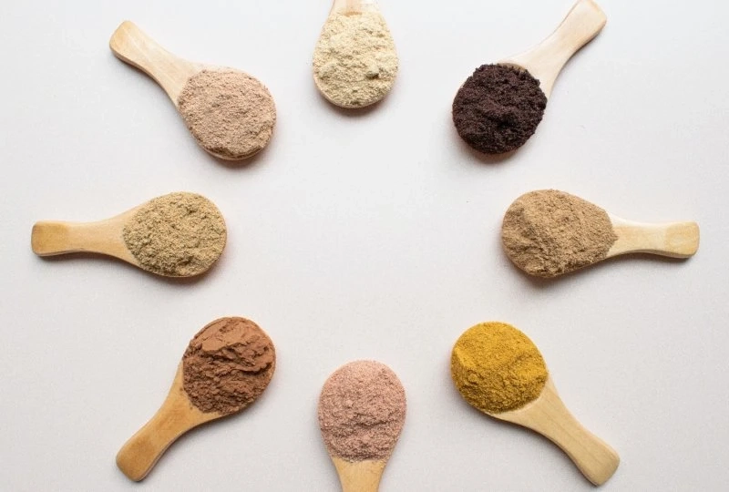 Plant Vs. Whey Protein: Which Is Right for Me?