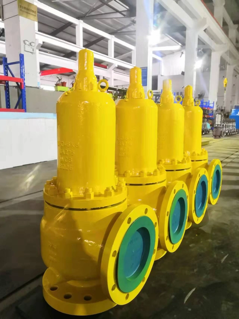 Steam Safety Valve Manufacturer in Australia