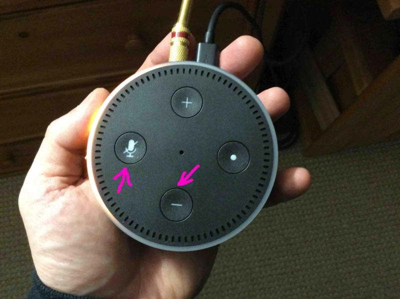 Download Alexa App | Alexa.amazon.com | Amazon Alexa App