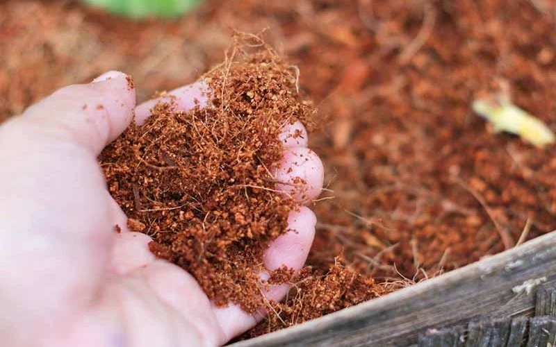 Pioneering Green Growth: Plantbest's Impact on USA Coir Distribution with Bulk Coco Coir Solutions