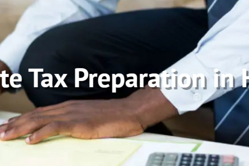 Individual Tax Preparation; A Comprehensive Guide, for Individuals and Businesses with Molentax