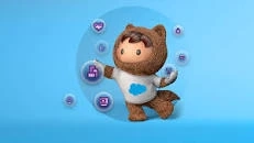 Best salesforce training placements in Hyderabad