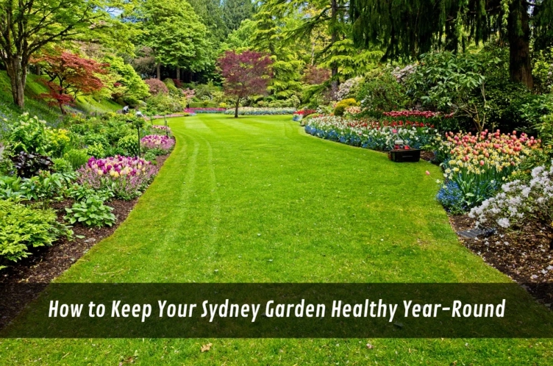 How to Keep Your Sydney Garden Healthy Year-Round