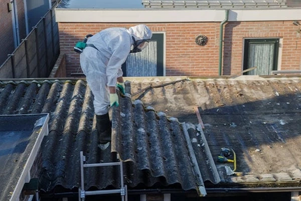 Do You Know the Hidden Effects of Mould on Your Health?
