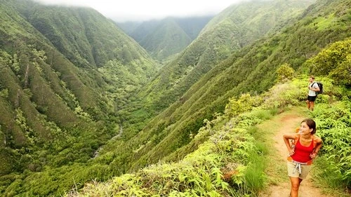 Best things to do while in Hawaii