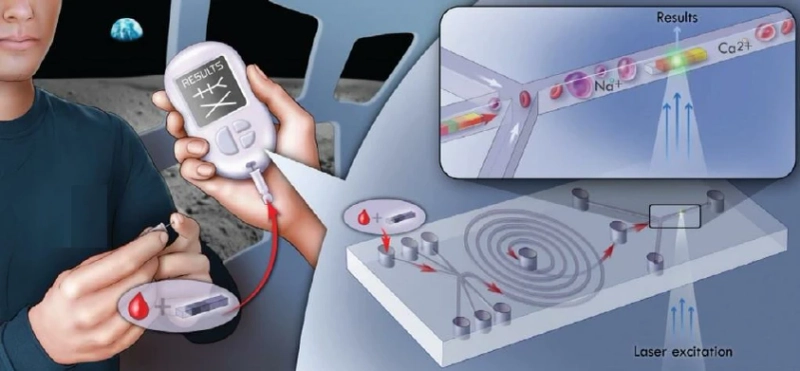 Point of Care Molecular Diagnostics  Market Is Booming Worldwide 2021-2028