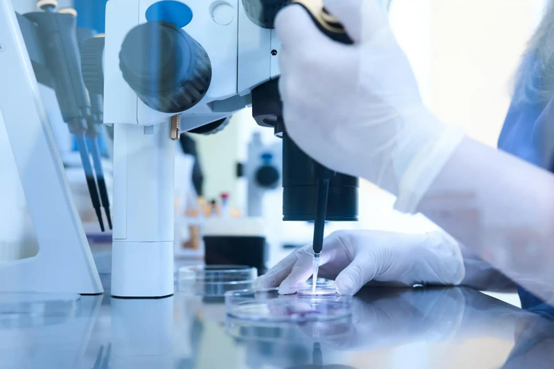 Understanding IVF: A Step-by-Step Guide to Modern Fertility Treatment