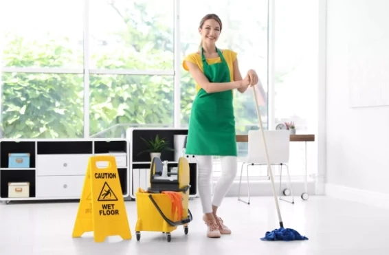 Revitalizing Your Home: The Importance of Upholstery Cleaning in Torrance