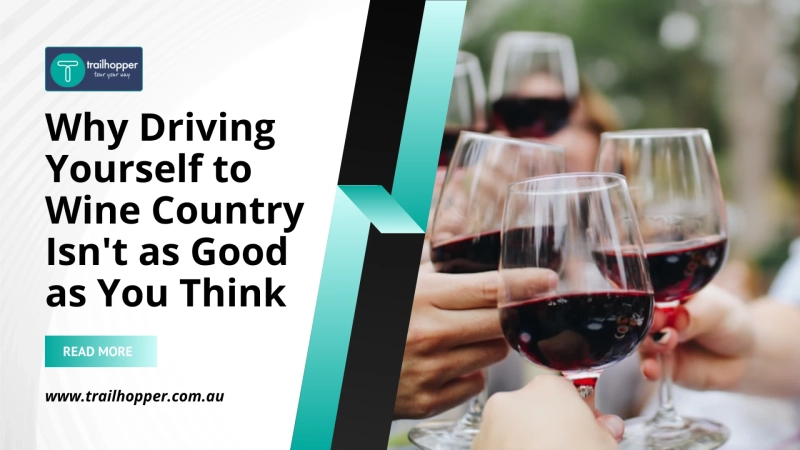 Why Driving Yourself to Wine Country Isn't as Good as You Think