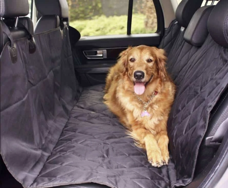 Know The Top-Listed Car Accessories You Must Have