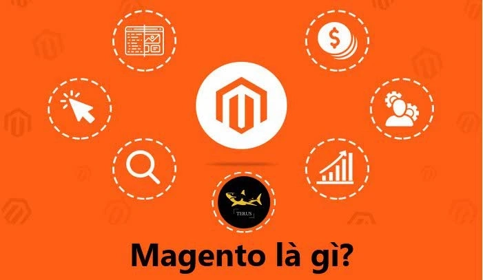 Sức Mạnh Và Tiềm Của Magento Hiện Tại - Thương Mại Điện Tử