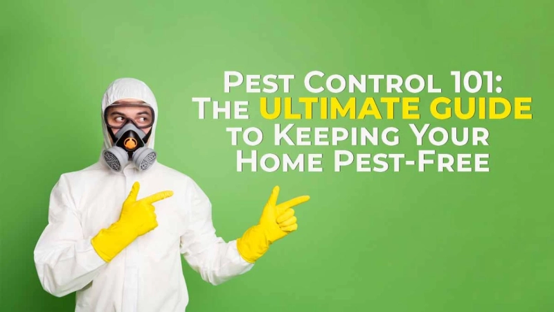 Pest Control 101: The Ultimate Guide to Keeping Your Home Pest-Free