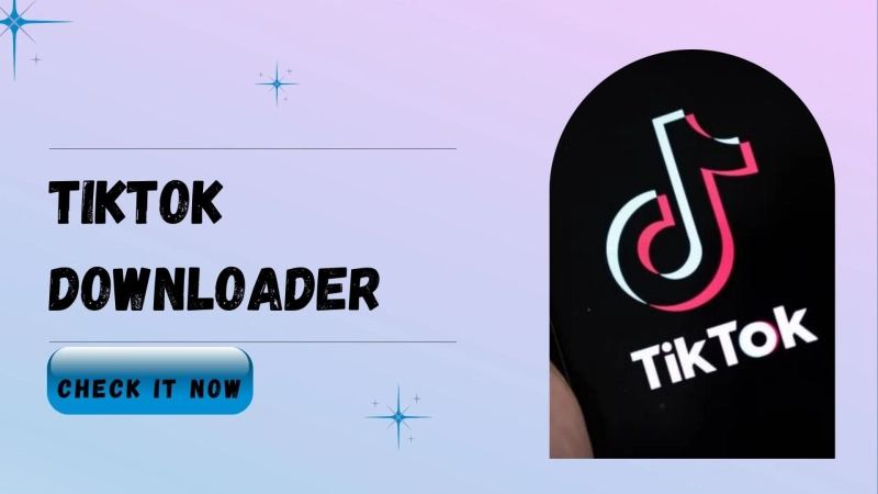 Download TikTok Videos Without Watermark – Best Tools in 2025