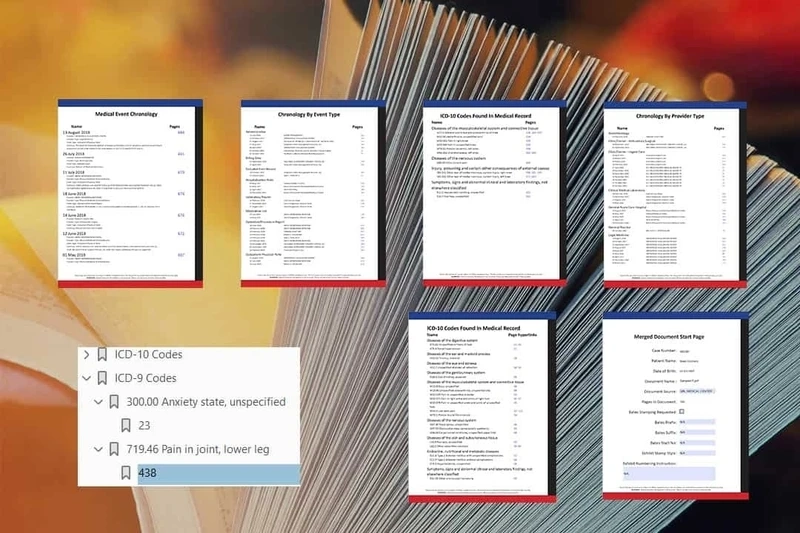 Medical chronology from Telegenisys helped an attorney
