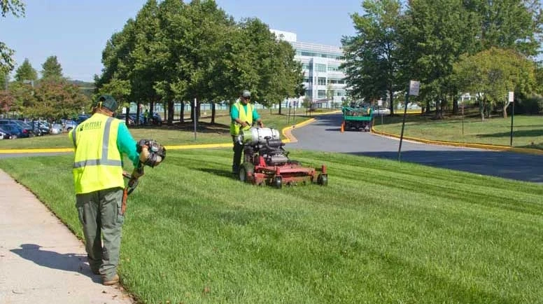 All Seasons Landscaping & Lawn Care Serving Zachary, LA, For Easy Home Upkeep