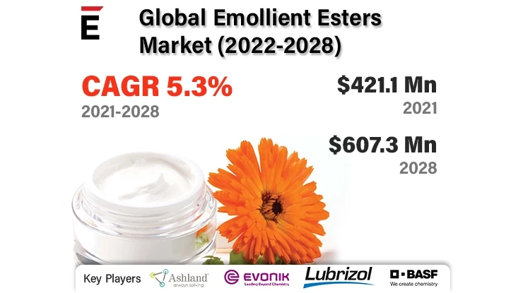 Emollient Esters Market 2022: Industry Trends and Investigation Growth Rate, Consumption by Regional data, Product & Application Segmentation by 2028