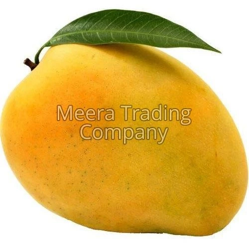 3 Quick And Mouth Watering Yellow Mango Fruit Recipes To Try At Home
