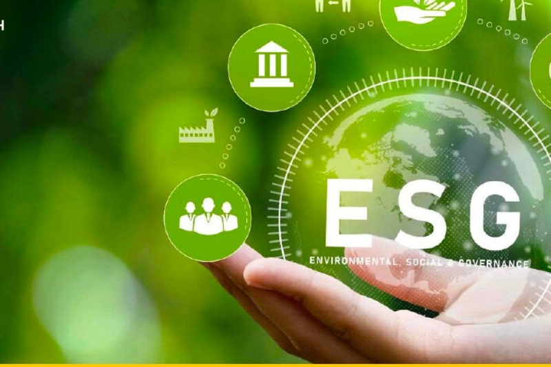 Harmonizing Impact: Environment, Social, and Governance (ESG) Solutions for Sustainable Success