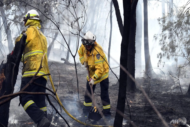 Professional Bushfire Protection Services