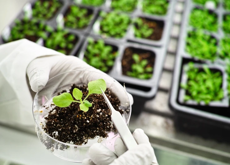 How have biotechnological practices been impacted by Enzymes