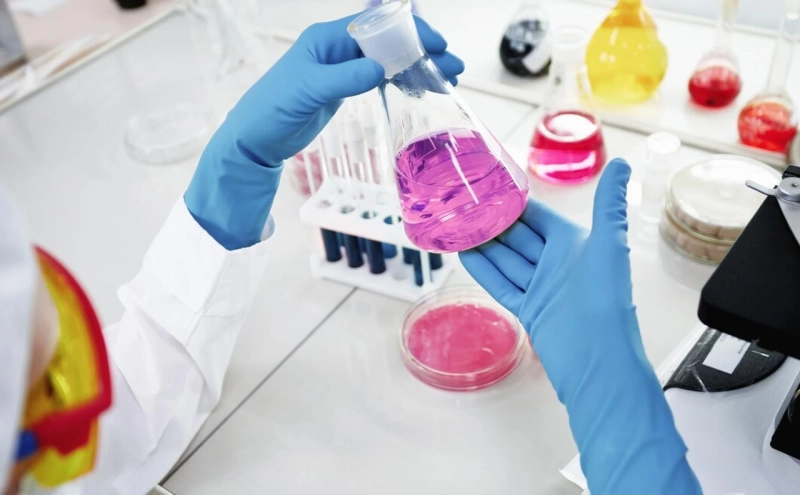 From Sample Preparation to Data Analysis: A Comprehensive Overview of Protein Analysis Services