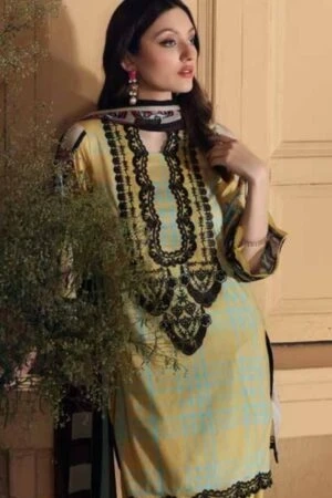 Styles of Pakistani Clothing That Are Trendy for This Eid Festival