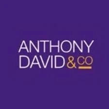 Precision meets Innovation: Anthony David Builders