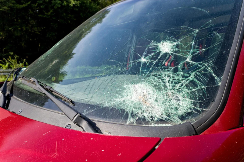 Don't Ignore the Ding: What Happens If You Ignore Windshield Damage?