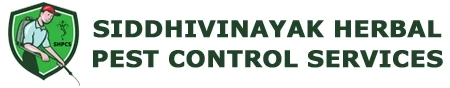 Defend Your Space: Siddhivinayak Pest Control, the Go-To for Pest Control Services in Bhayandar