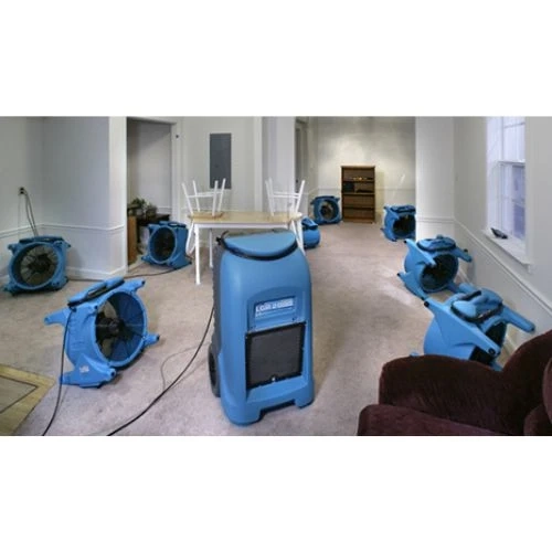 Should The Carpet Be Replaced After Water Damage?