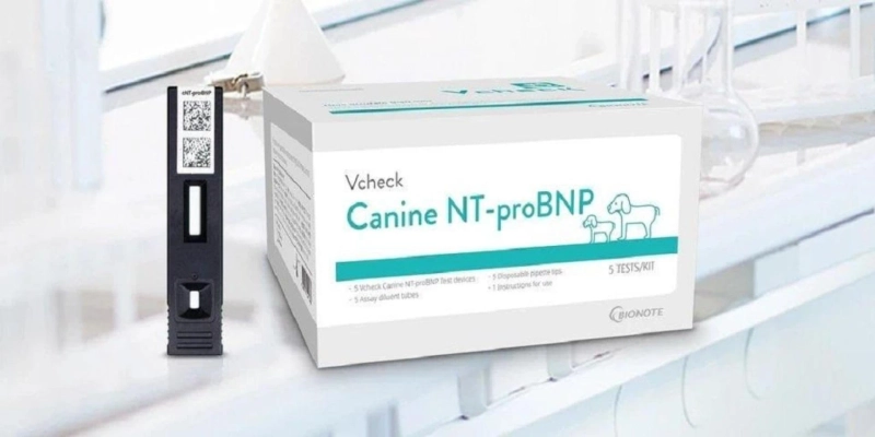 Brucellosis Test For Dogs: What It Is & Why It’s Important