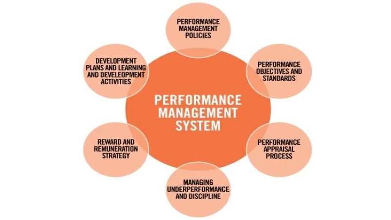How can performance evaluation solutions help the start-ups of today?