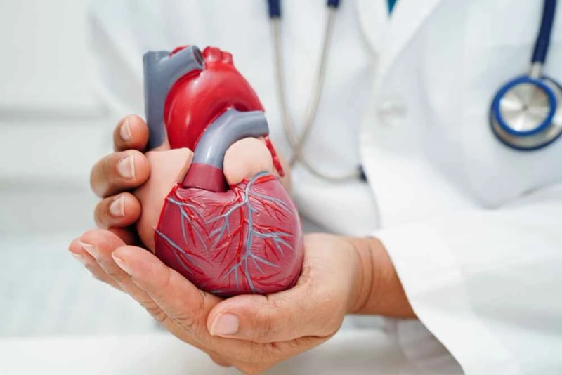 Long-Term Cardiac Rehabilitation and Structured Follow-Up Care at Metro Hospital Delhi